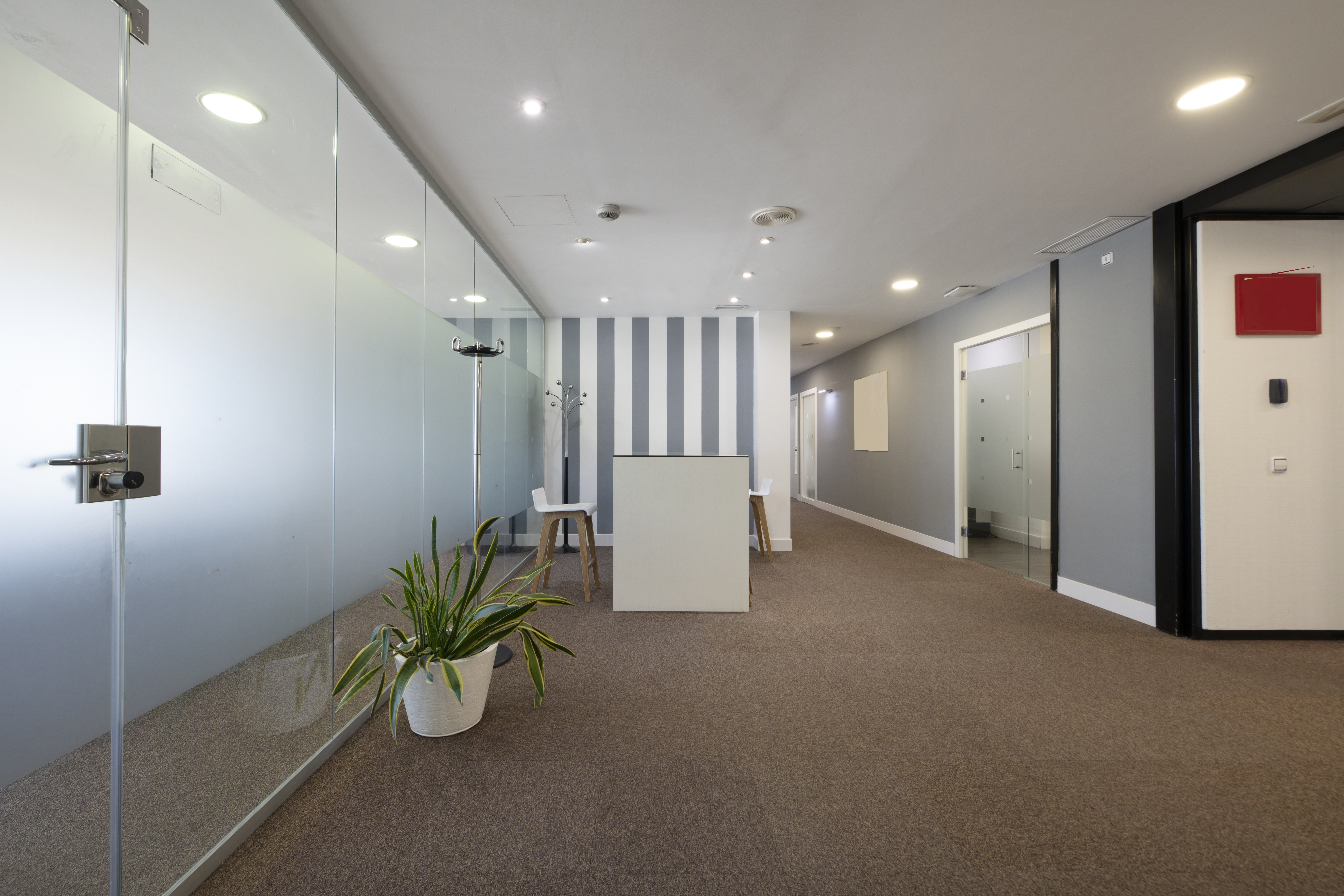 Skilled Specialists to Elevate Your Project 