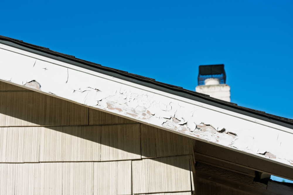 Weather-Resistant Paint Selection: Protecting Your Home’s Exterior Investment