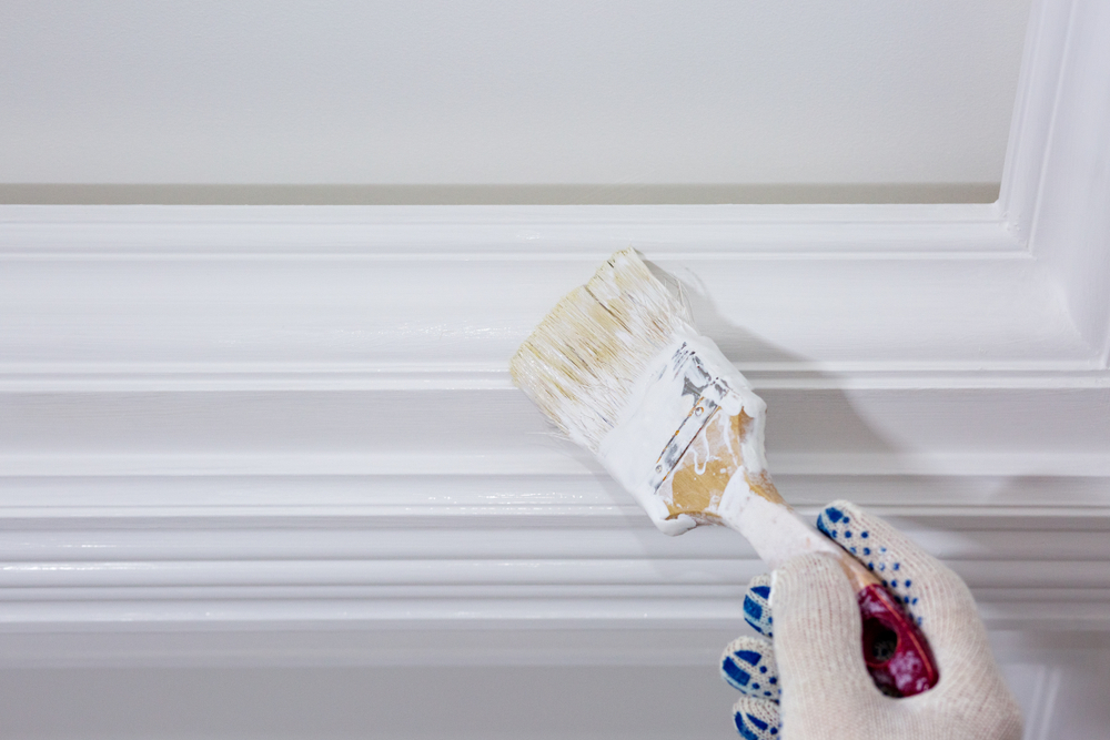 The Lifespan of Interior Paint: Your Guide to a Long-Lasting Home Finish