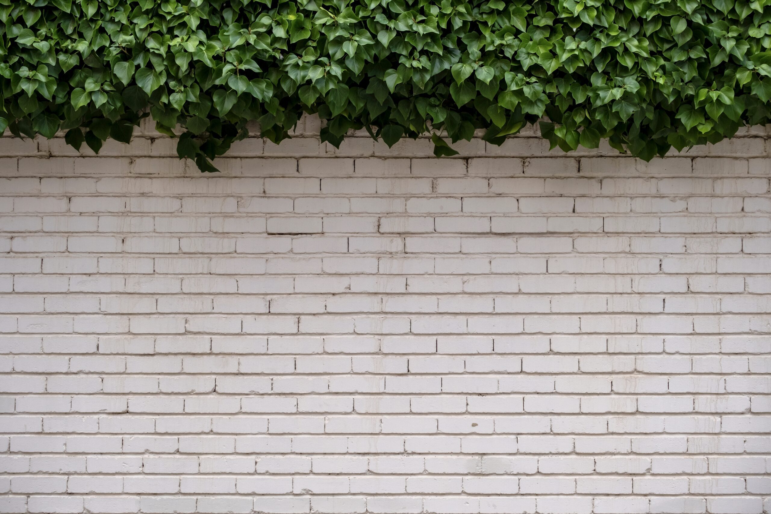 Limewash vs. Mineral Paint for Brick: How to Update Exterior Masonry Without Trapping Moisture